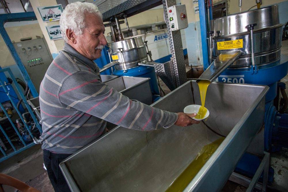 Olijfolie extra virgin uit Palestina - Dadelskopen.nl