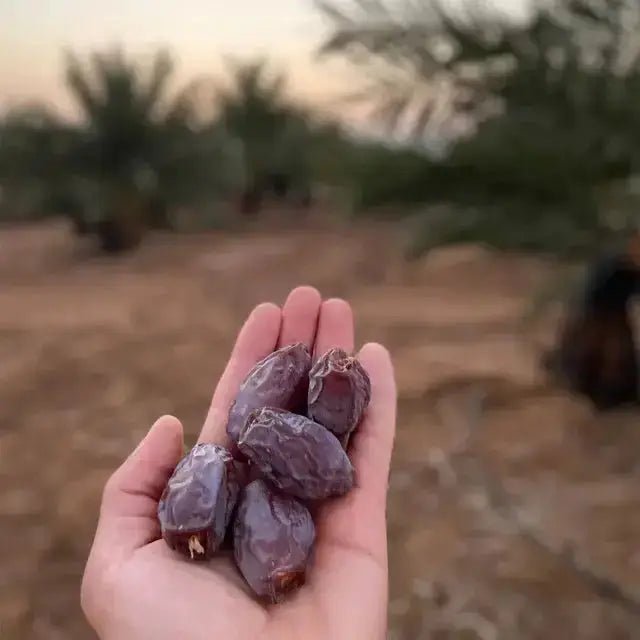 Premium Medjoul Dadels uit Palestina - Dadelskopen.nl