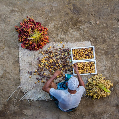Sukkary Frische Datteln – Honigsüß & Extra Weich