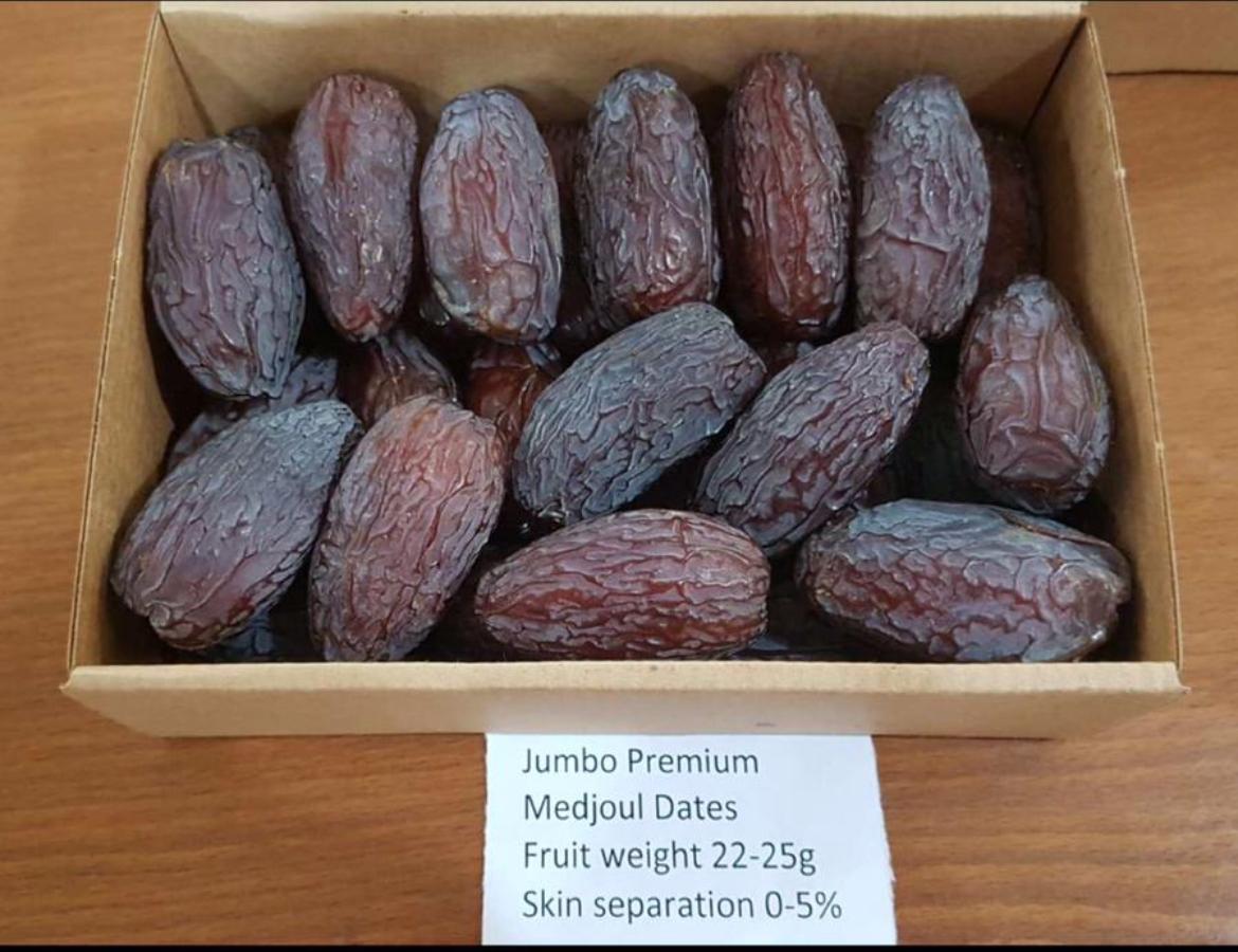 Sahara crown medjoul jumbo 5 kg