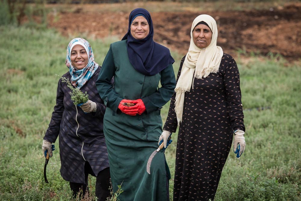 Zaatar uit Palestina - 500 Gram - Dadelskopen.nl