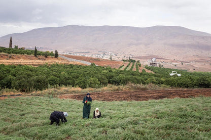 Zaatar uit Palestina - 500 Gram - Dadelskopen.nl