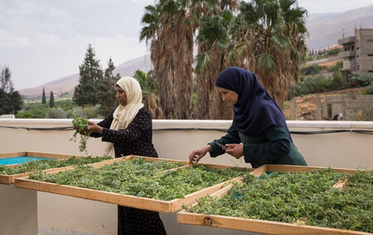 Zaatar uit Palestina - 500 Gram - Dadelskopen.nl